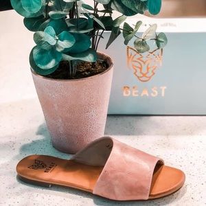 Blush Slides